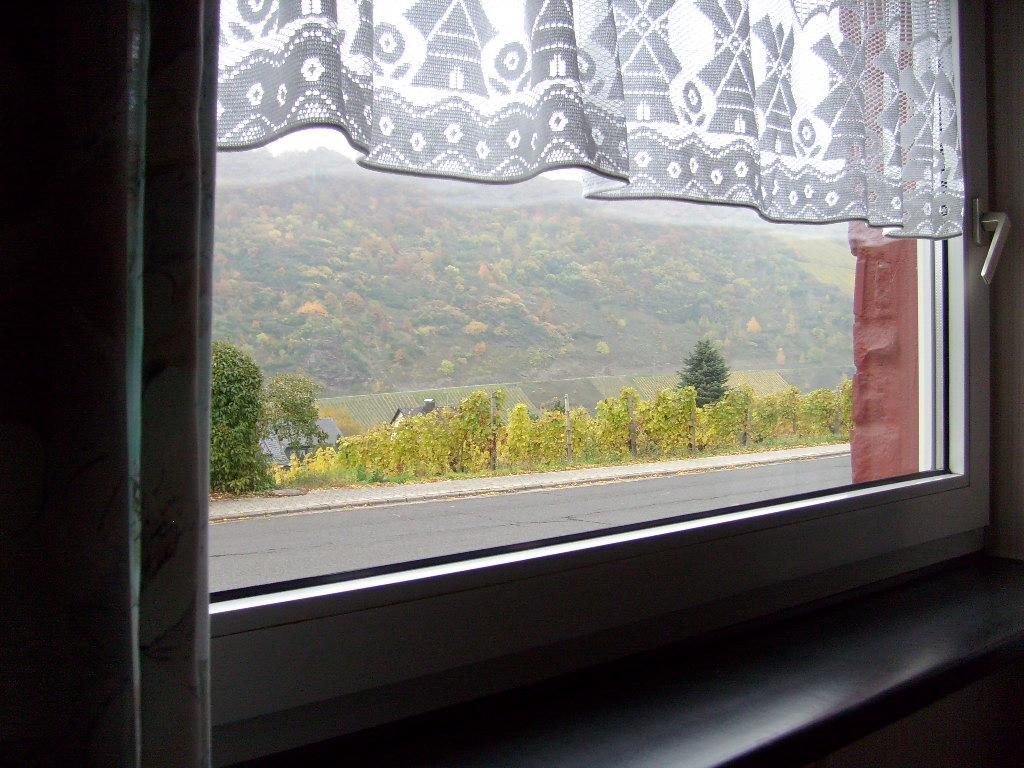 Pension Kroth An Der Mosel Briedel Dış mekan fotoğraf