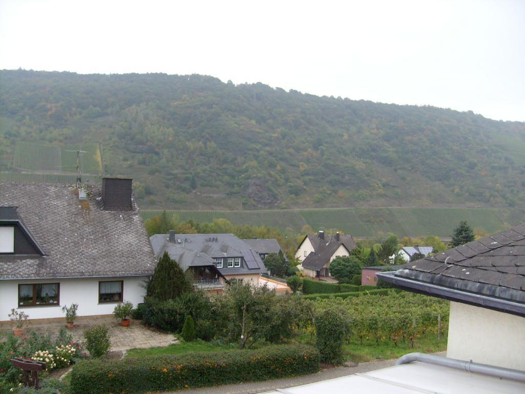 Pension Kroth An Der Mosel Briedel Dış mekan fotoğraf